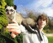 Tom with the Palm Civets