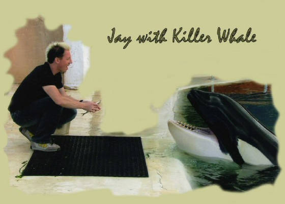 Jay with Killer Whale